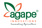 agape